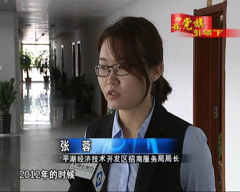 平湖页轮